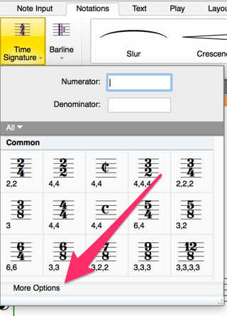 Time Signature Options